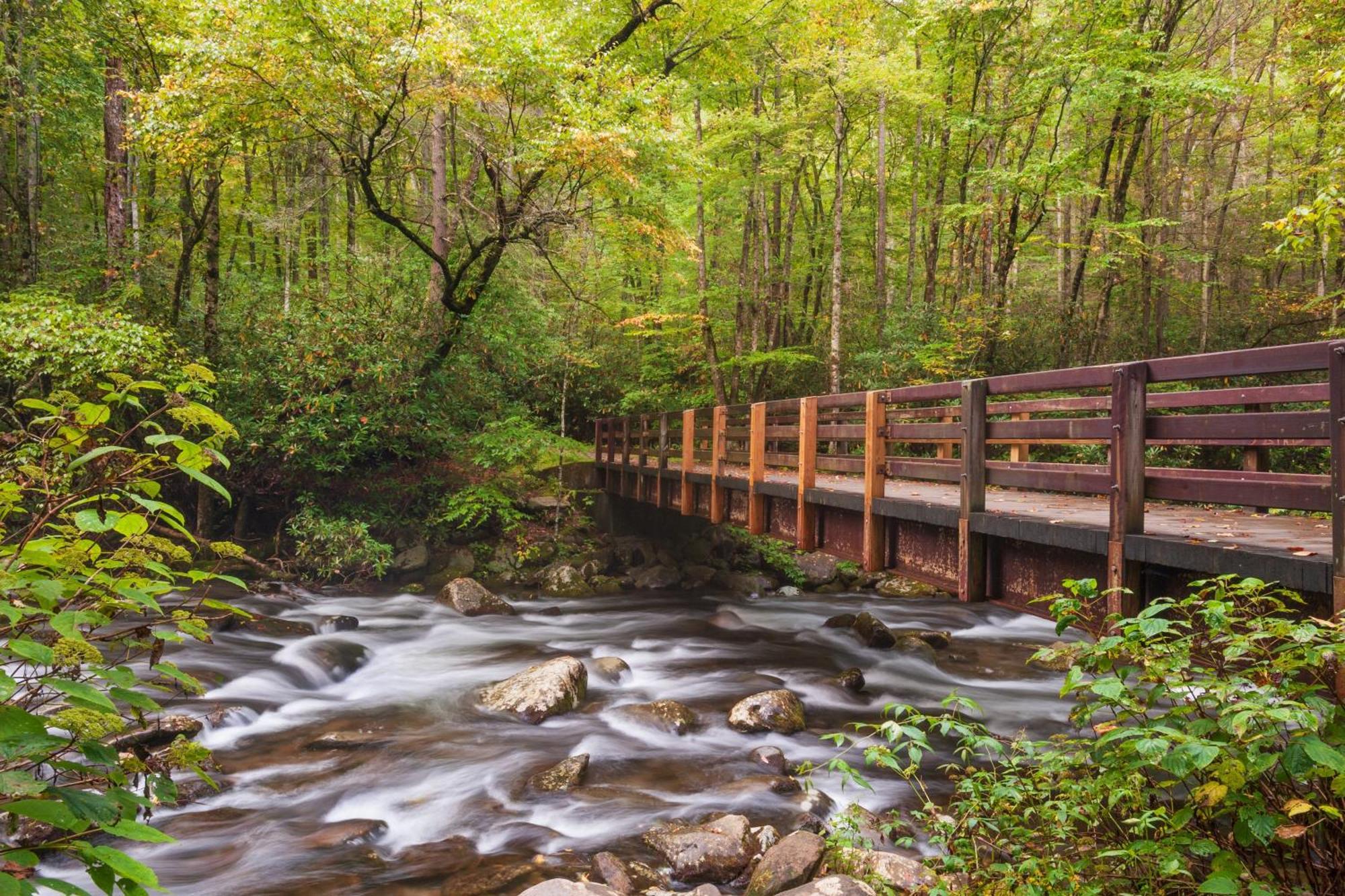 River Song, Near River, Hot Tub, Foosball, Wifi 1089 Free Tickets Each Paid Day, Dollywood And More Sevierville Esterno foto
